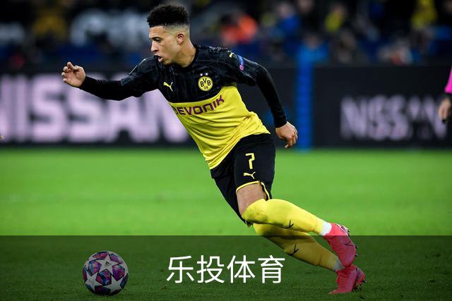 乐投体育公司简介图片
